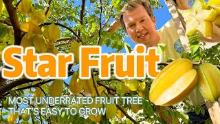 Starfruit! The Most Underrated Fruit Tree That's Easy to Grow in Your Backyard by Touch Grass Gardening 4,164 views 3 months ago 9 minutes, 32 seconds