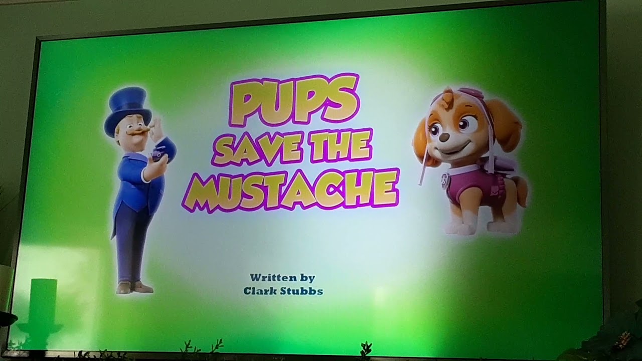 reef aquariums near me