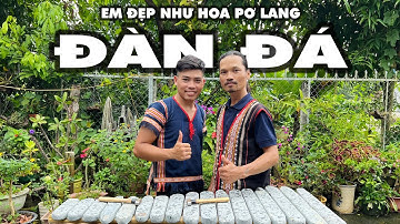 EM ĐẸP NHƯ HOA PƠ LANG | ĐÀN ĐÁ CỰC CHẤT | Già Làng Tây Nguyên