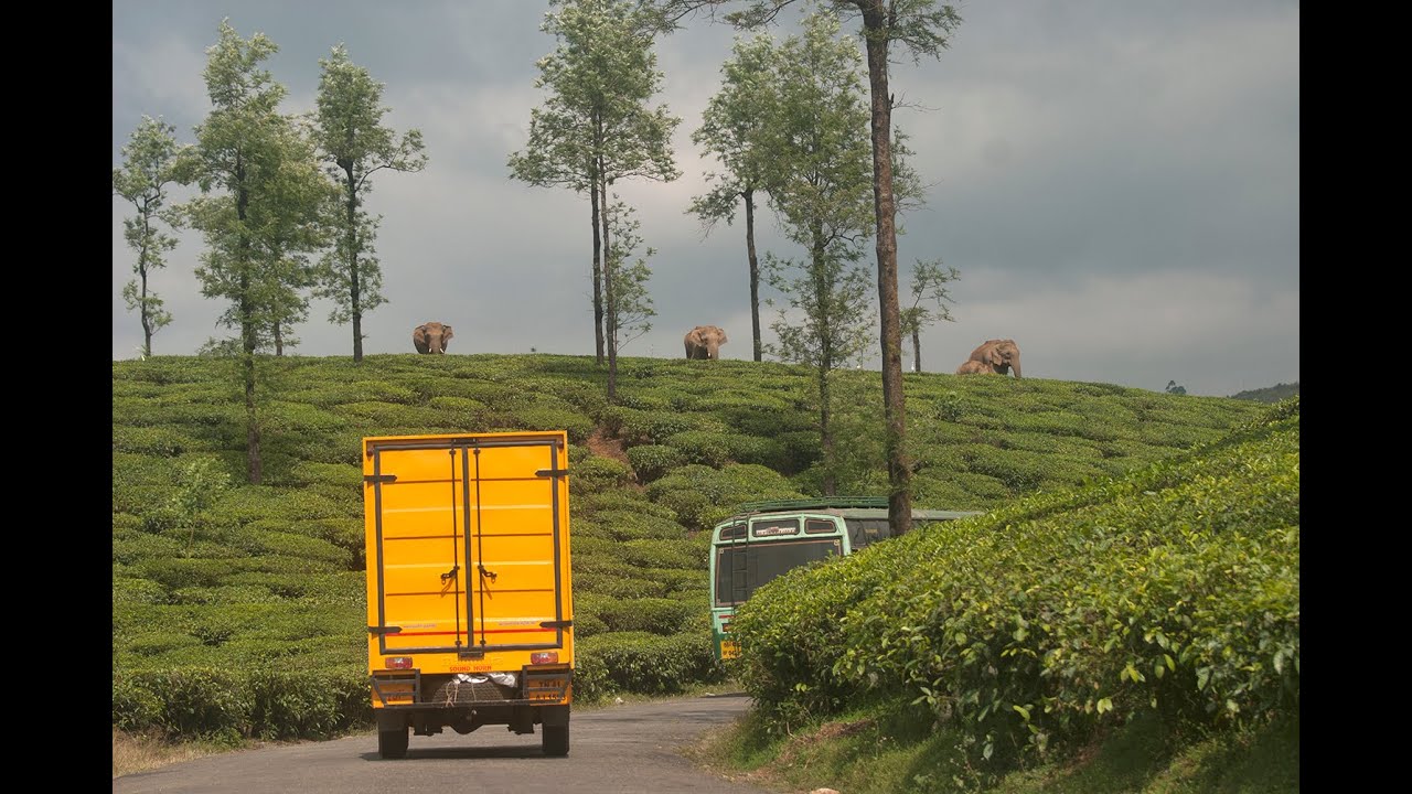 asian nature conservation foundation Bus Warning System in Valparai