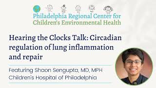 Hearing the Clocks Talk: Circadian regulation of lung inflammation and repair