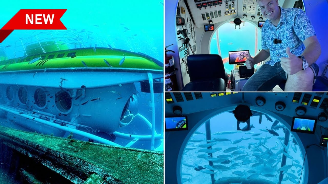 Would YOU handle this?! It BLEW ME AWAY! Submarine Safari Excursion in Tenerife π