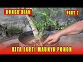 Konsep mengikuti arah gerak pohon  belajar bonsai anting putri