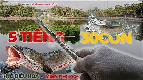 Câu LURE hồ tự nhiên miễn phí 100% tại Hà Nội | Câu LURE Hồ Văn Quán