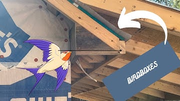 SCORPION RIDGE  -- Birdbox and soffit framing #diycabin #offgrid #birdbox #cabin