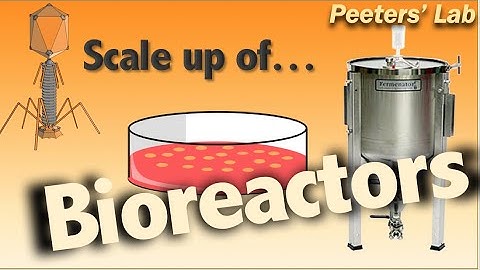 Scale up challenges in bioreactors