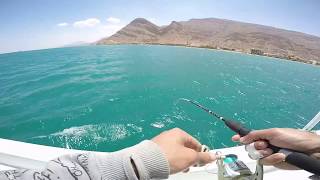 boat fishing sokhna الصيد من يخت في السخنة