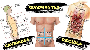 O que é cavidade ventral?