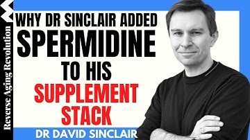 WHY Dr David Sinclair Added SPERMIDINE To His Supplement Stack | Dr David Sinclair Interview Clips