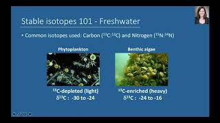 07/22/20: Aaron Fisk, New Insights and Future Direction in Great Lakes Food Web...