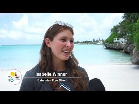 Watch Tourism Today: Dive Competition