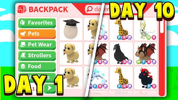 Ik heb 10 dagen overleefd in Adopt Me As A NOOB