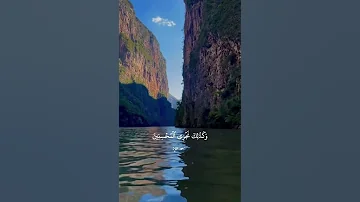 سورة يوسف القارئ سعود الفايز 