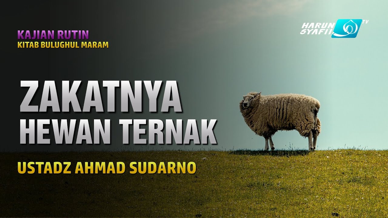 Bulughul Maram : Bab Zakat Hewan Ternak - Ustadz Ahmad Sudarno 