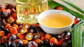 МОЖНО ЛИ использовать в пищу ПАЛЬМОВОЕ МАСЛО? видео Для чего растительные жиры содержатся в детских смесях? Мифы о пальмовом масле.
