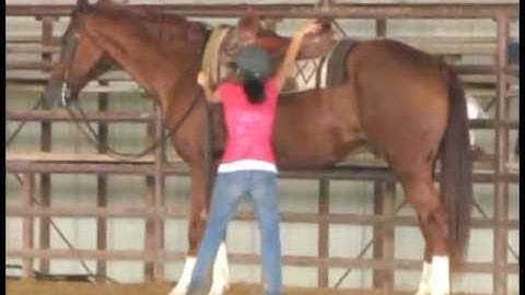 A Dirty Lil Diddy "Diddo"       ***For up-to-date info, price, etc., go to our website***