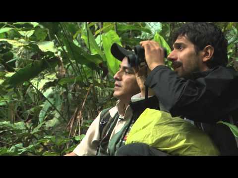 Parque Nacional Tingo María: 50 años de historia natural (programa completo)