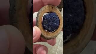 20gram azurite and aspen tree Burl