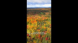 Québec City: BEST Time to Visit