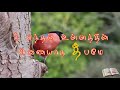 nee enthan parai |Tamil christian songs Mp3 Song