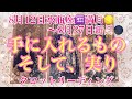 【🌝満月🌕】8月12日水瓶座♒️満月🌕〜8月27日新月🌑までに手に入れるもの♡実り😊をテーマにタロットリーディングをしました✨