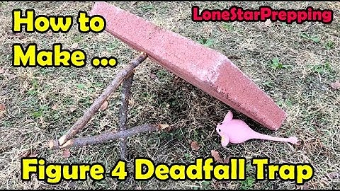 How to Make a Figure 4 Deadfall Trap - "43 Second Video"!