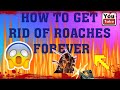 HOW TO GET RID OF ROACHES FOREVER⚠️WARNING⚠️ YOU MUST SEE THIS [2019]