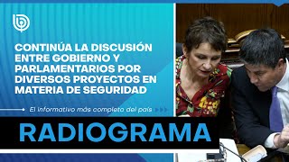 Continúa la discusión entre gobierno y parlamentarios por diversos proyectos en materia de seguridad