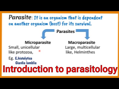 Video: Talparasitologi, Eller Vad är Ordparasiter