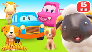 Eğitici çizgi film! Akıllı Arabalar ile hayvanları öğrenelim! Bebekler için oyuncak arabalar!