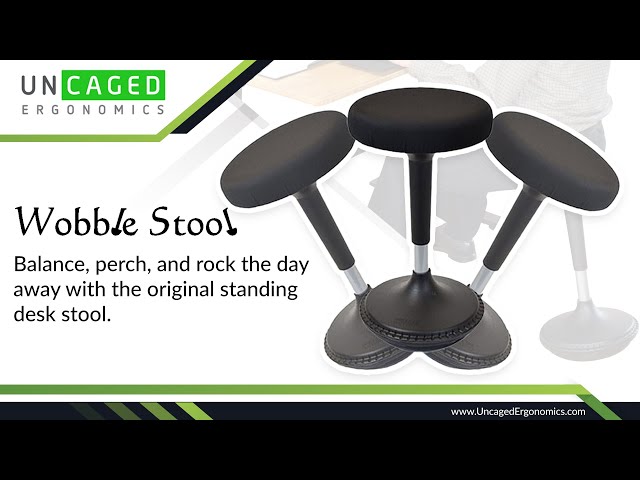 Uncaged Ergonomics - Wobble Stool - Blue