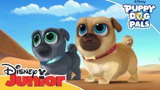 Search For The Pyramids Puppy Dog Pals Official Disney Channel Africa