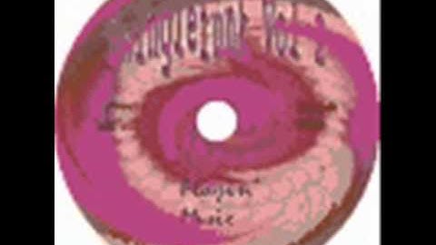 Swinglefunk Vol 1 -- funky synth loops -- 24 bit files