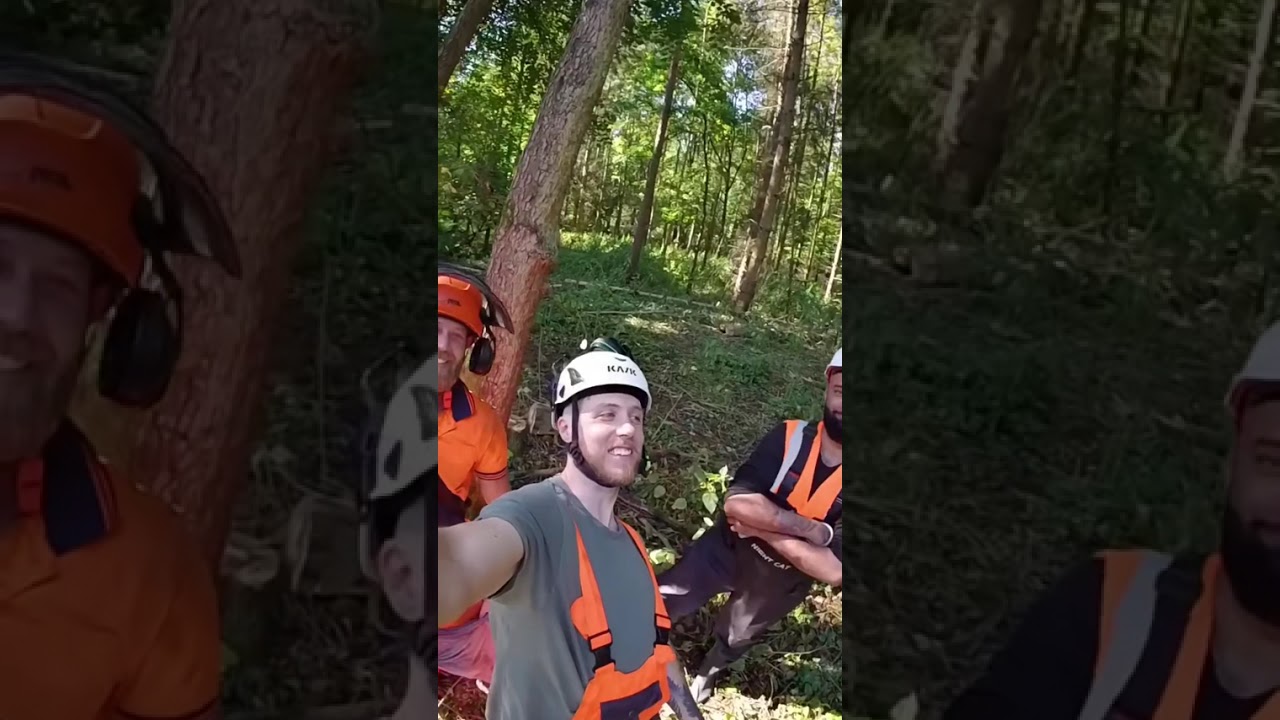 A Day in the Life on the River Cam
