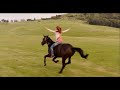 La Réelle Liberté (Equestrian Audio Whisper/Danse avec lui)