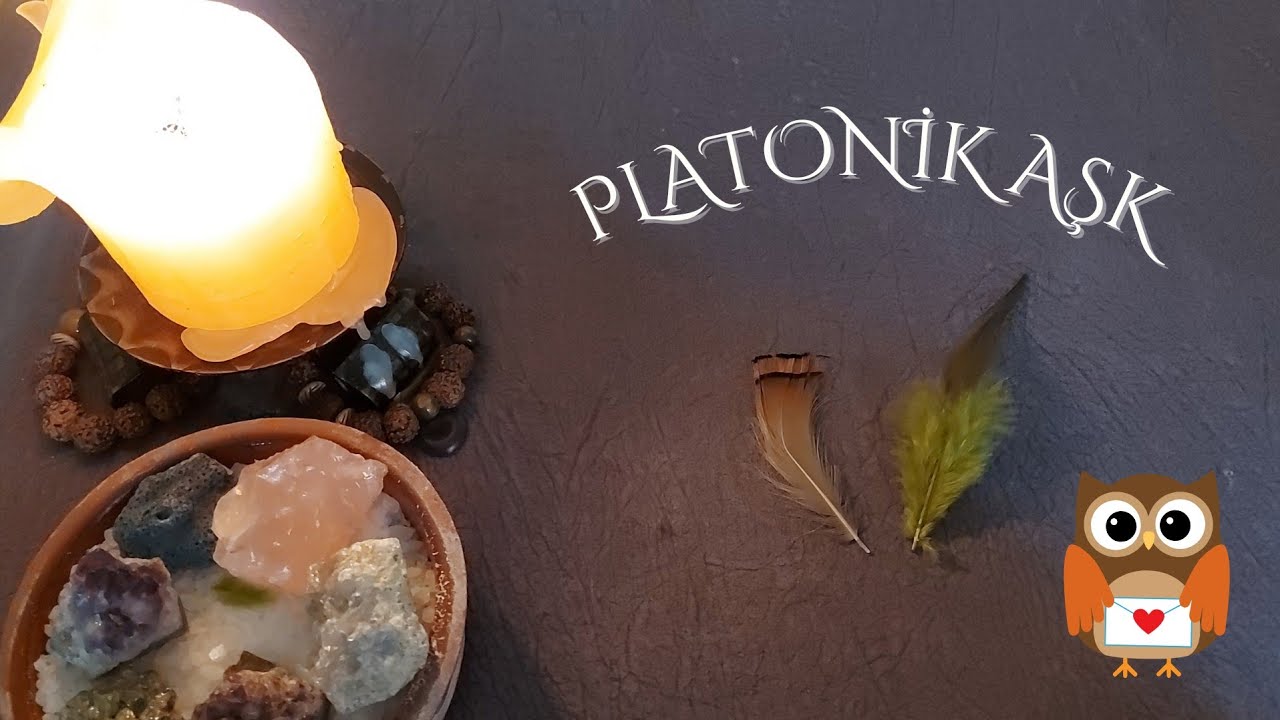Platonik aşk tarot okuması 🤎💚