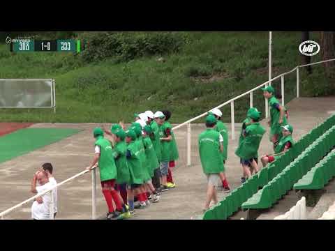 ვიტ ჯორჯია 4:1 შევარდენი