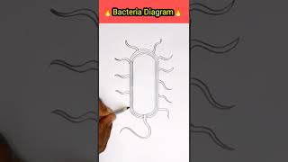 #bacteria #drawingtrick