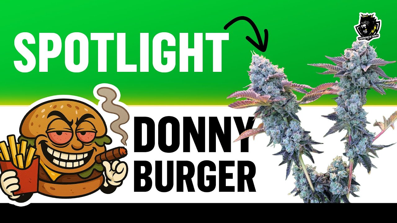 Grow Series Ep. 1 🌱 | Donny Burger 