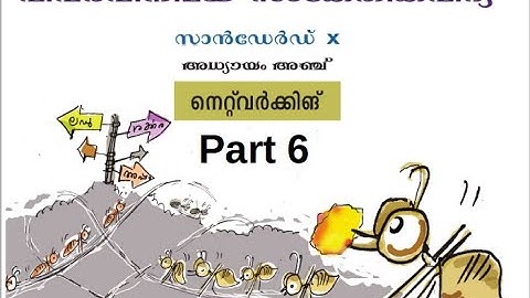 CM Soft ICT Tutorials Std 10 Chapter 5 Network 6