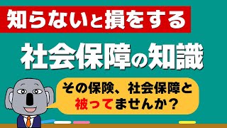 【お金の授業】学校が絶対に教えてくれない社会保障についてわかりやすく解説します！