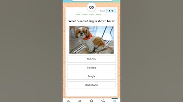 Amazon Daily Quiz Time Answers Today | 1 April 2024