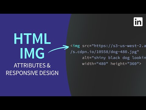 Video: Apakah saiz lalai teks dalam HTML?