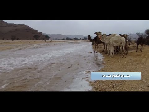 منير البقمي جرة فوق جره