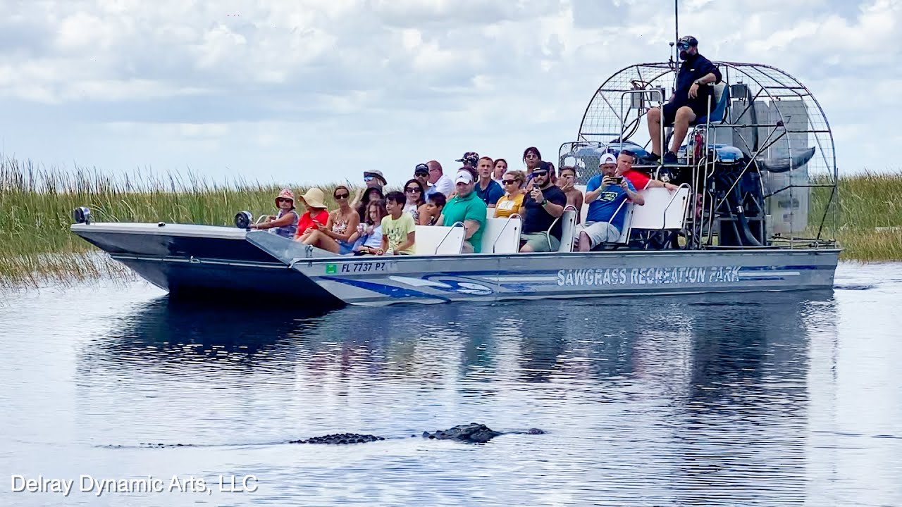 Thrilling Airboat Ride at Sawgrass Recreation Park in Weston, Florida YouTube