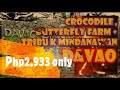 Davao crocodile  butterfly farm  tribu k mindanawan vlog63 traveldavaovlog