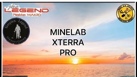 Minelab exterra pro