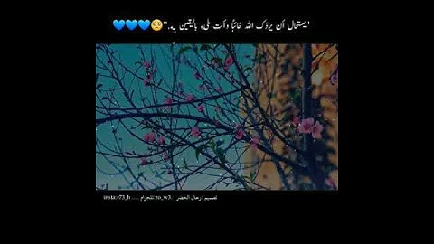 من سورة النحل الآية 52 ...تلاوة تخشع لها القلوب