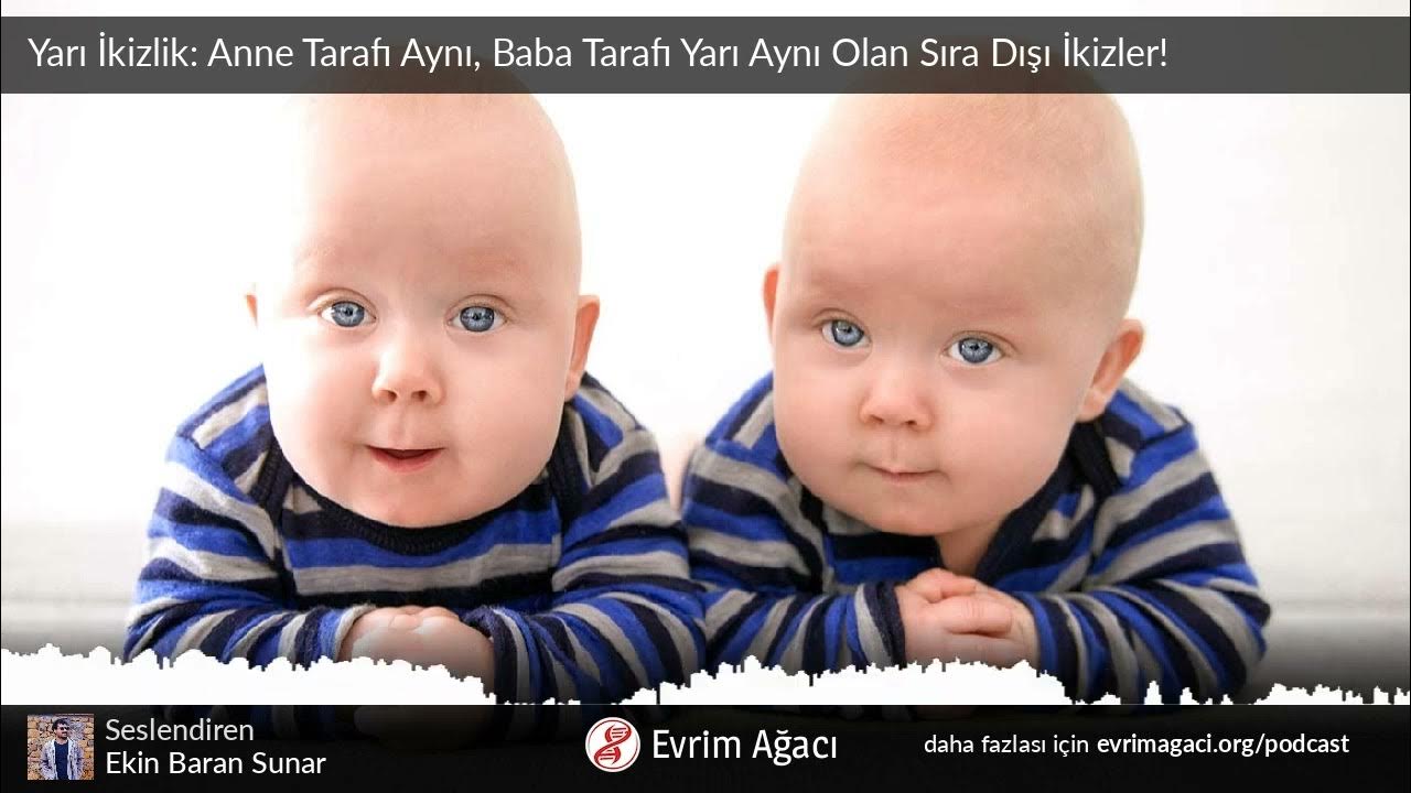 Spermatozoidlarning ogiz boshligiga tushishi