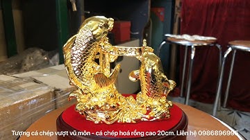 Tượng cá chép vượt vũ môn | Cá chép hoá rồng mạ vàng 20cm